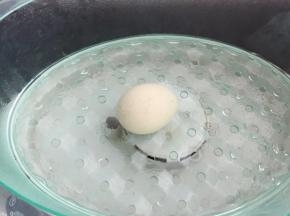 鸡蛋蒸熟