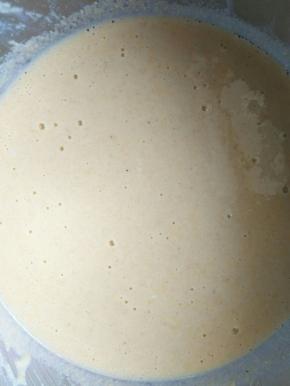 加入水，用打蛋器混合均匀，面糊成酸奶浓度的状态，然后密封醒发半小时