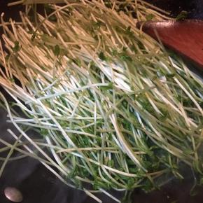 倒入豆苗不停翻炒。