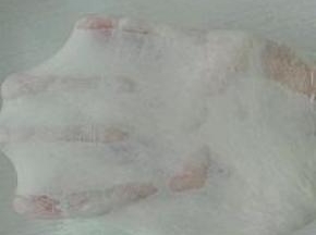 2. 用后油法（除黄油外所有材料混合揉至可以拉出大片厚膜，放入软化黄油）揉至完全扩展状态，如图所示