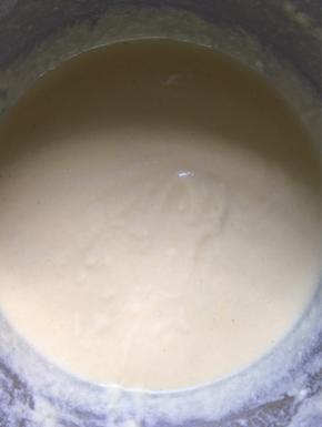 加入水，用打蛋器搅拌均匀，面糊成酸奶样的状态，密封醒发半小时