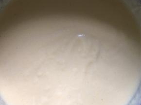 加入水，用打蛋器搅拌均匀，面糊成酸奶样的状态，密封醒发半小时