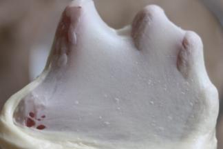 揉至面团能拉出如图面膜，保鲜膜覆盖基础发酵。