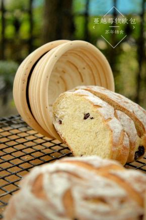 切开的组织。下午拍完照到晚上回来依旧柔软