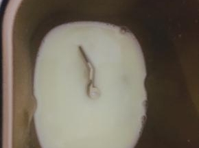 配方里的水、鸡蛋都放进面包搅拌桶里，均匀打散