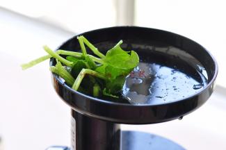 将菠菜放入原汁机中榨菠菜汁。