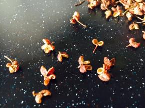 温馨提示：花椒油汁是增鲜提味的，有着点睛之笔的作用，千万不能忽略的一点是炸花椒时一定不能炸糊，花椒炸糊了会有口味的。