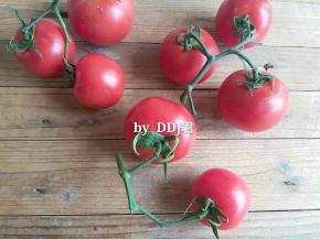 一串串大番茄，我选用了四个