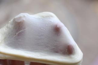 揉至能拉出面膜如图，结束和面，保鲜膜覆盖基础发酵。