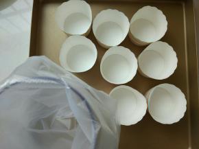 首先要做好准备工作，一次性裱花袋装好，纸杯放在烤盘上，烤箱预热130℃10分钟。