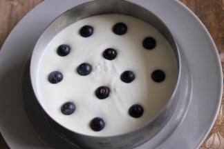 取出冰箱冷藏好的慕斯底，倒入一半慕斯液，撒上洗干净擦干水的蓝莓。