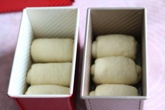 放入土司盒里，密封进行发酵。