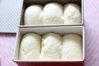 面团发酵（室温26度55分钟左右）至吐司盒九分满，加盖吐司盒盖子。