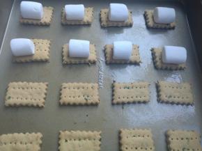 苏打饼干翻过来，放上一块棉花糖，入烤箱180度烘烤5分钟至棉花糖金黄膨胀（时间温度不固定，随时观察以免烤过）。