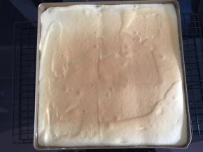 表面上色即可出炉。因为做反卷，所以正面啥样无所谓了，哈哈。
蛋糕卷放着摊凉。