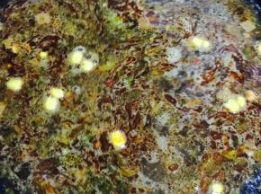 加入开水，大火煮开