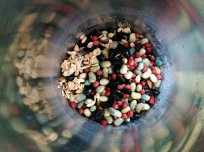 三种豆子 燕麦片 红枣一起放入豆浆机
