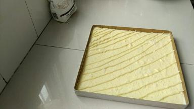 表面撒上一层椰蓉，取出3/1的卡仕达酱斜着挤在面糊上，烤箱中层上下火170℃30分钟，烤20的分钟加盖锡纸。