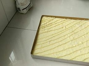 表面撒上一层椰蓉，取出3/1的卡仕达酱斜着挤在面糊上，烤箱中层上下火170℃30分钟，烤20的分钟加盖锡纸。