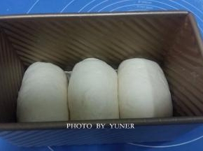 放入吐司模中，盖上保鲜膜，进行二次发酵。