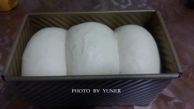 面团发酵至九分满，轻按面团表面，能缓慢回弹则发酵好。