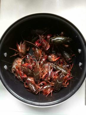 龙虾600克用水浸泡，用刷子刷洗干净