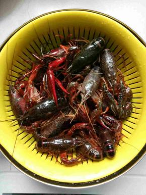 用水再冲洗干净