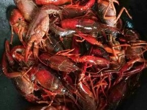 锅里倒油加热，（油要稍多一些）加入龙虾翻炒