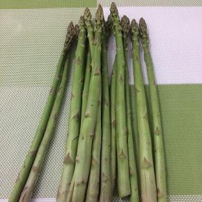 芦笋