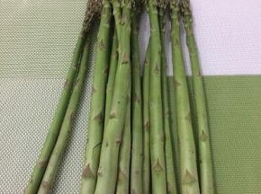 芦笋