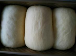 发至8-9分满即可，烤箱提前预热150度