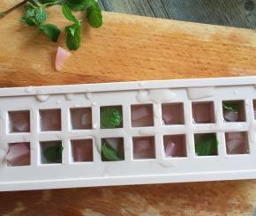 切小块的桃子放入冰格中，倒入桃子水、薄荷，冷冻2小时