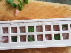 切小块的桃子放入冰格中，倒入桃子水、薄荷，冷冻2小时