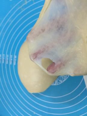 8. 适时地检查面筋的强度，把面团小心的伸开，这时候面团已经可以形成一层薄薄的薄膜，但是薄膜并不是特别坚韧，还是比较容易破裂，破裂的洞口呈不规则的形状，而不是光滑的圆形，这个时候面团就达到了扩展阶段，这个时候做餐包是可以的了