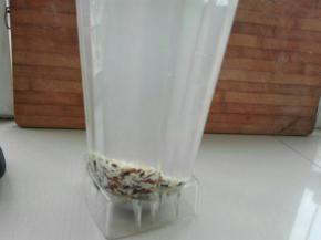 泡好捞出放入破壁机