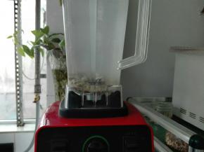 启动破壁机，打成细腻的糊