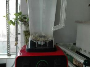 启动破壁机，打成细腻的糊