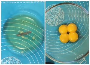 2. 分开蛋黄和蛋白，盛放在两个搅拌盆中