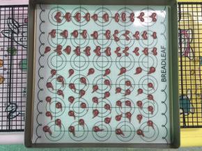 12. 放进预热好的烤箱中上下火，中下层150度2分钟，出炉时，可用风扇吹，让其降温