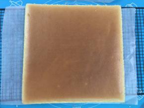 16. 上色非常的均匀，如果不是做彩绘的话，用来做正面的话，那可是非常完美的