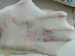 将发酵好的中种撕成小块同主面团材料混合揉至扩展状态