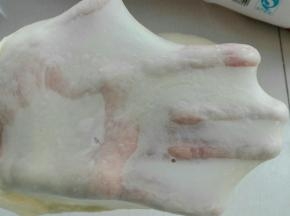 将发酵好的中种撕成小块同主面团材料混合揉至扩展状态