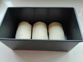 收口朝下，依次放入模具中