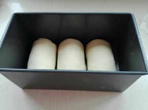 收口朝下，依次放入模具中