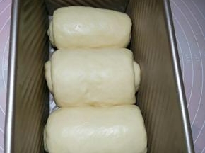 依次做好所有面团，放入吐司盒发酵（现在的天气可以盖上保鲜膜，室温发酵）