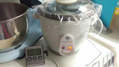 揉好后放入电饭煲保温状态（冬天需要，夏天室温发酵）。温度保持在28度左右，60~80分钟。