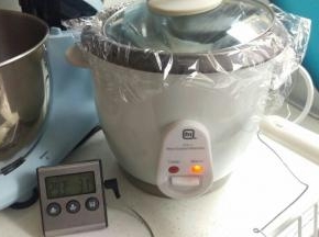 揉好后放入电饭煲保温状态（冬天需要，夏天室温发酵）。温度保持在28度左右，60~80分钟。
