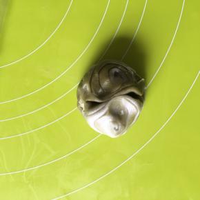 取一个面卷从中间对折，压扁