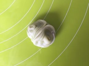 取一个小面卷从中间对折