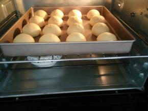 8.发酵好刷一层牛奶撒上黑芝麻